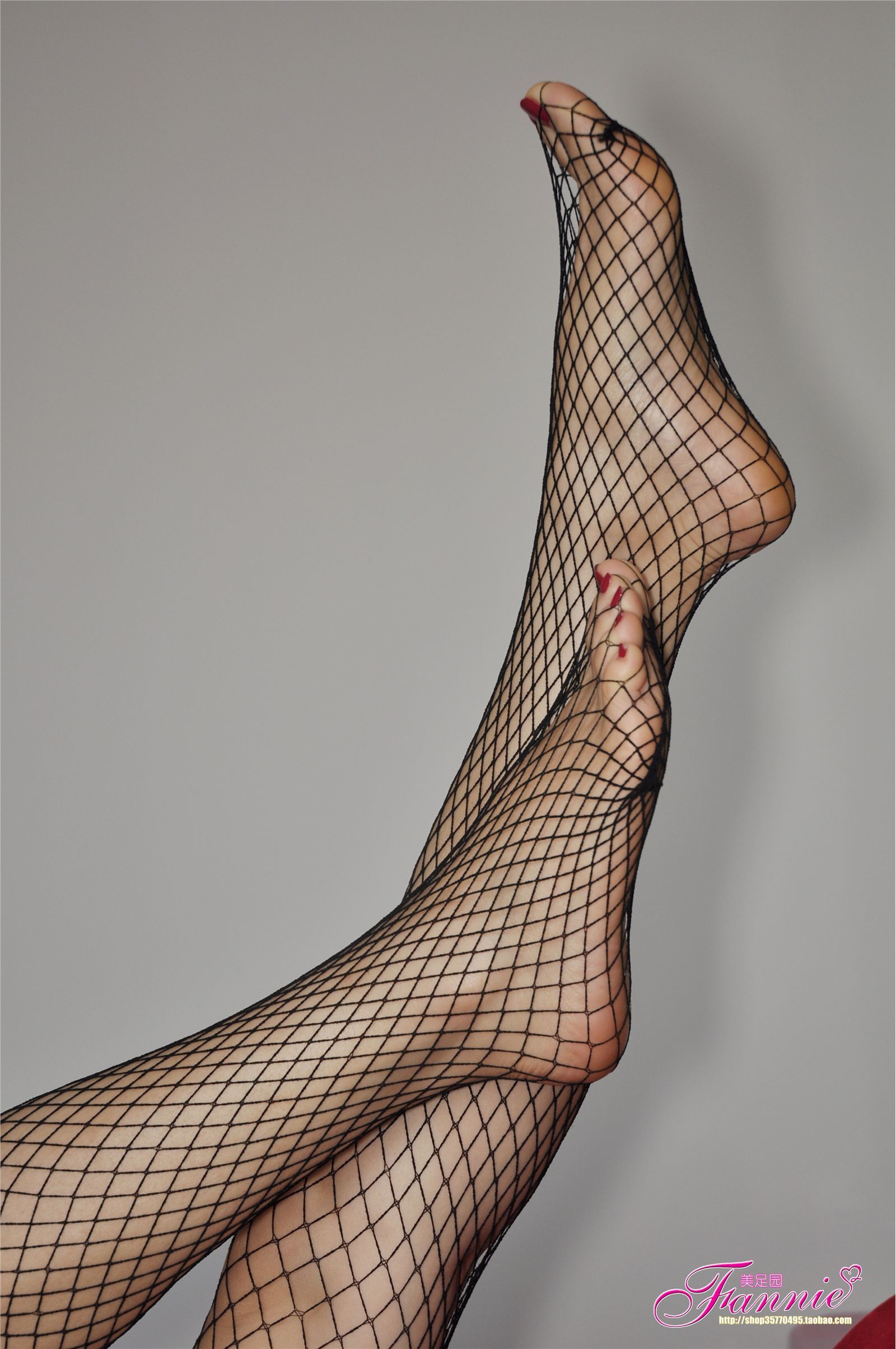 炽红莲（黑网丝） [芬妮美足]